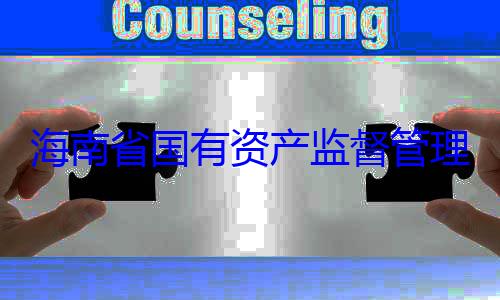 有福接受审理委员会党委副书记王资产监督管海南省国有查调查